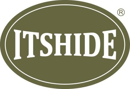 ITS Hide Logo